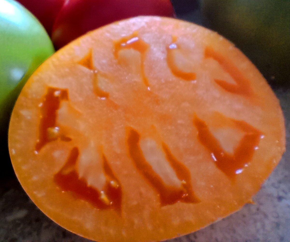 Tomates oranges (Qyanaï)